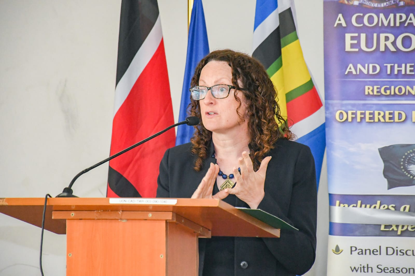 Ambassador Caitriona Ingoldsby, Ambassador of the Republic of Ireland in Kenya and Representative of the European Union as President of the Council of the European Union.